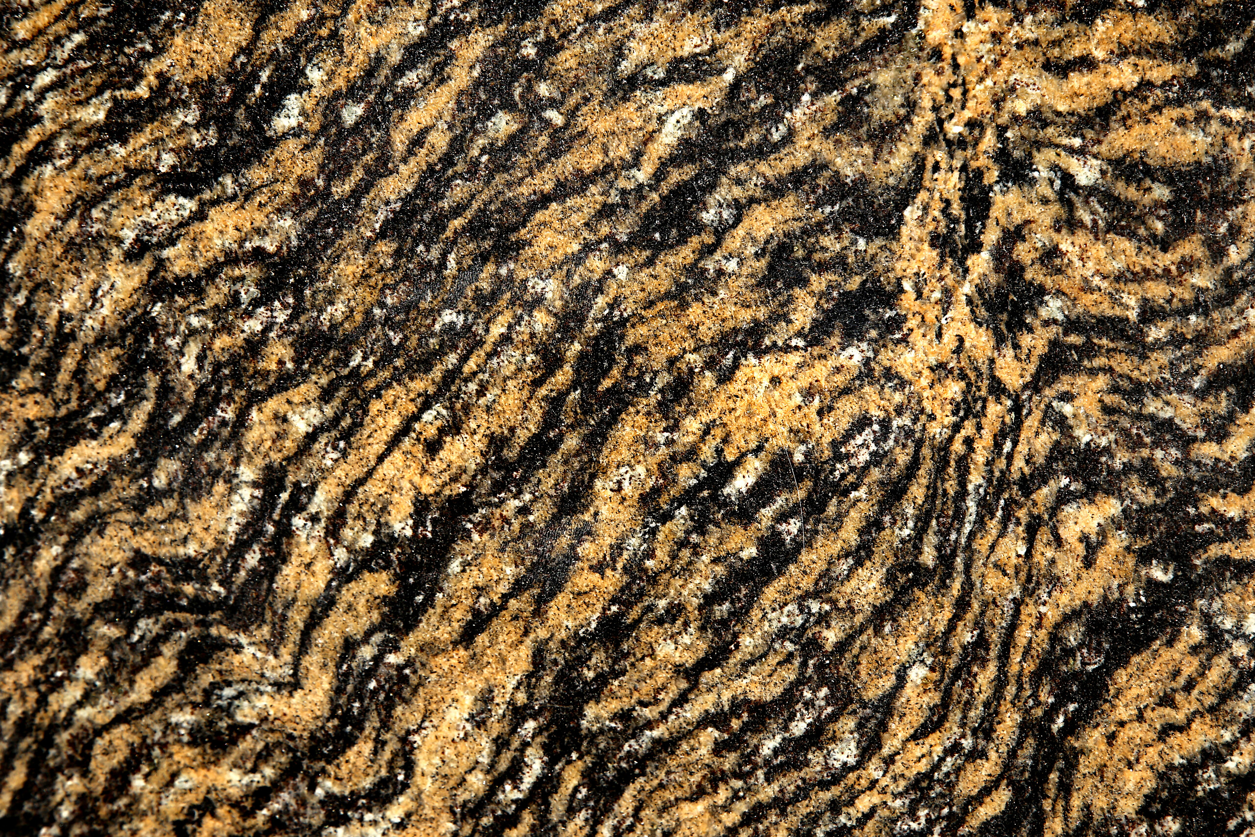 TIGER SKIN GRANITE